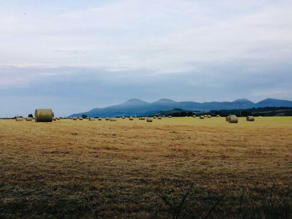 ホテルYew Tree Barn キャッスルウェラン エクステリア 写真